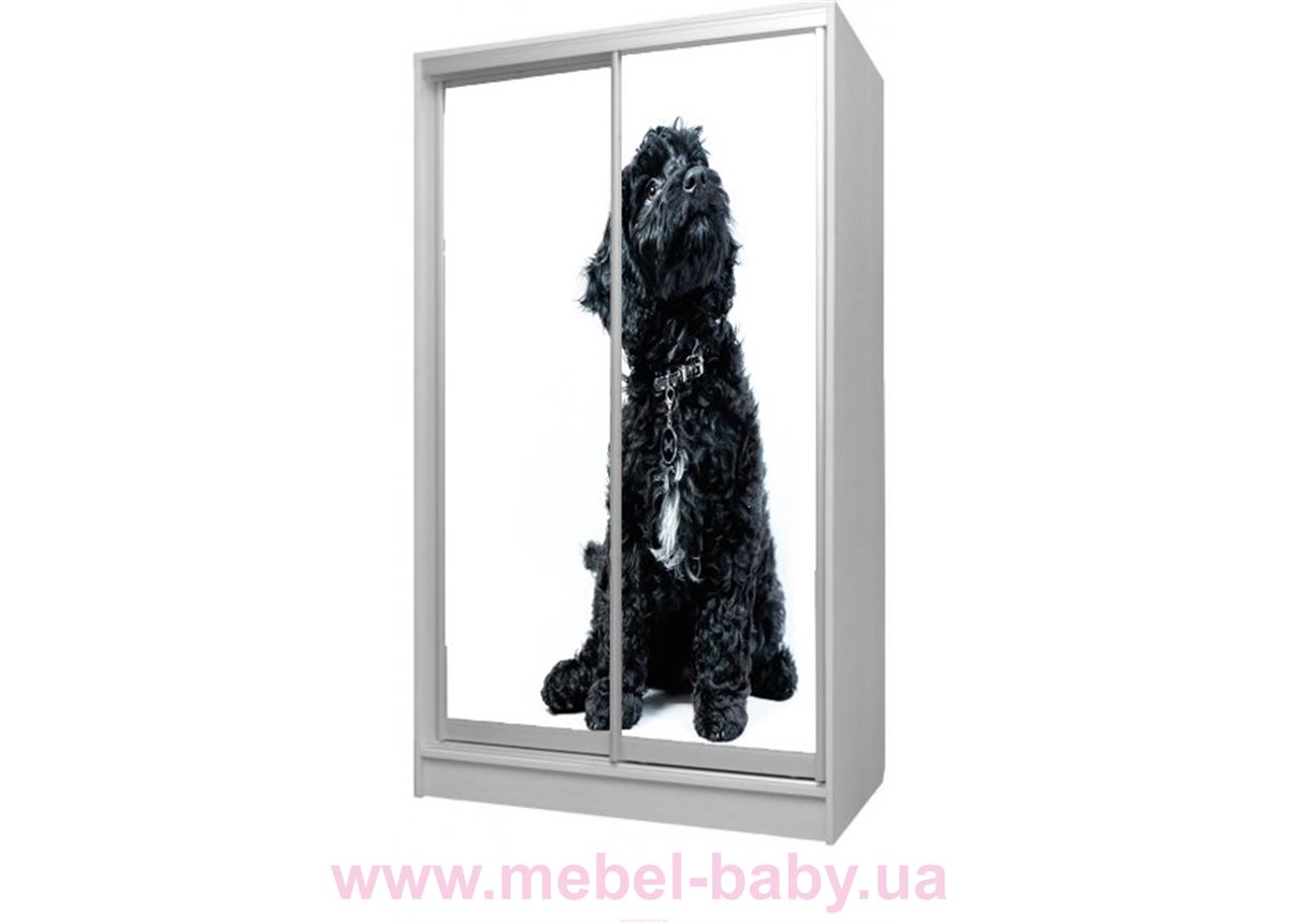 Шкаф-купе Пес 41 Viorina-Deko 1200 серый