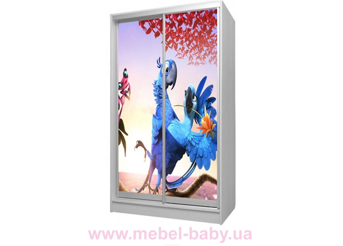 Шкаф-купе Рио 12 Viorina-Deko 1200 серый