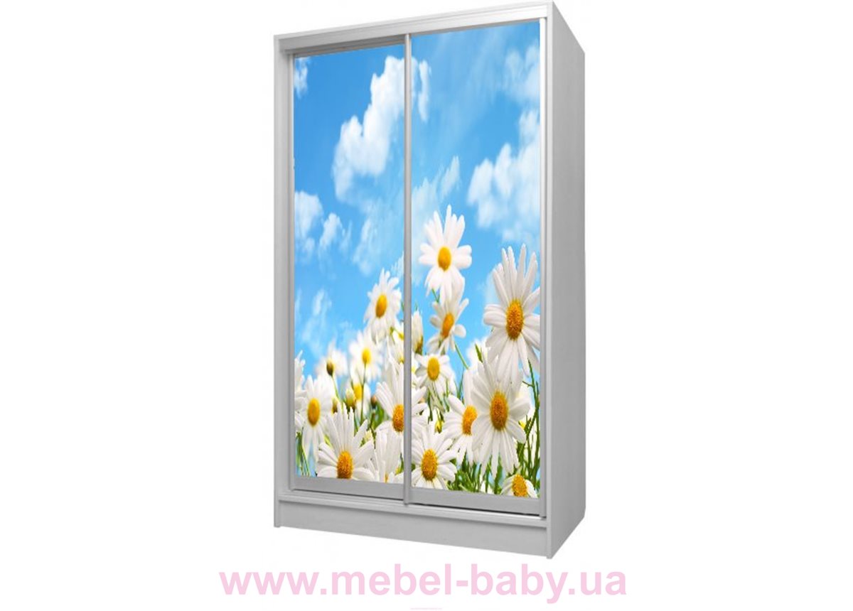 Шкаф-купе Ромашки 71 Viorina-Deko 1200 серый