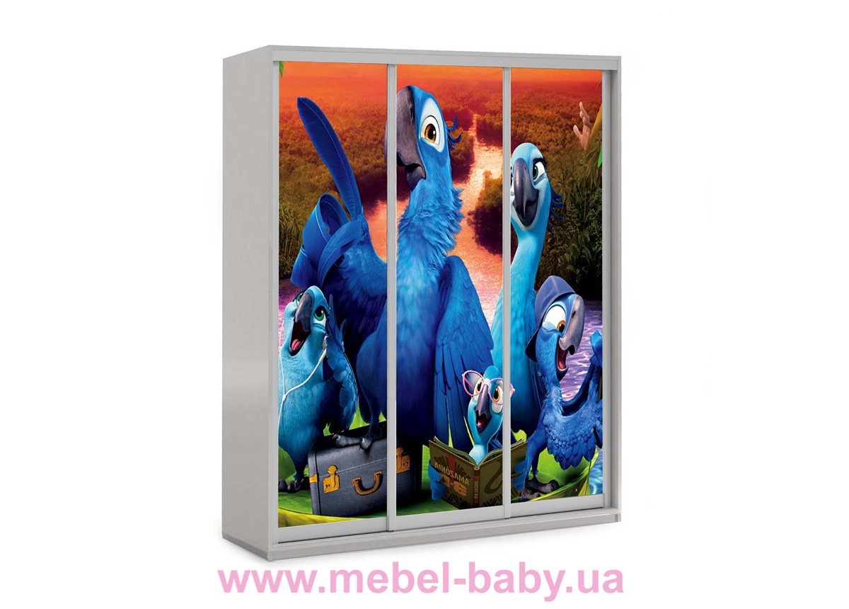 Шкаф-купе Рио 13 Viorina-Deko 1600 серый