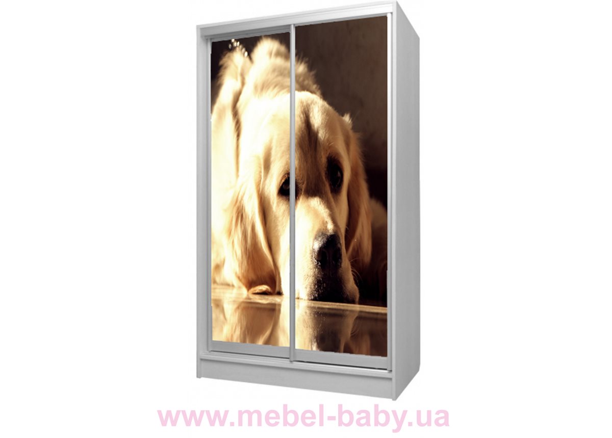 Шкаф-купе Собачка 40 Viorina-Deko 1200 серый