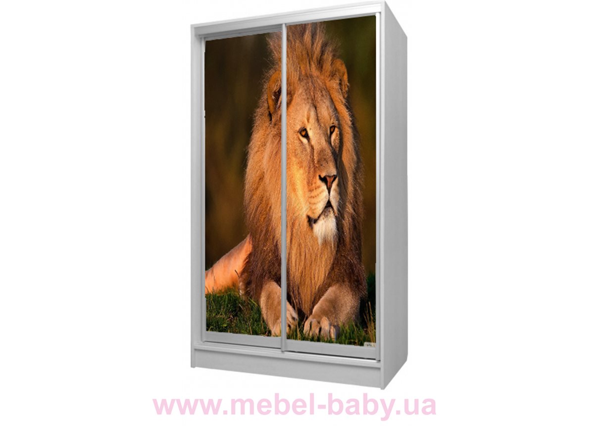 Шкаф-купе Лев 53 Viorina-Deko 1200 серый