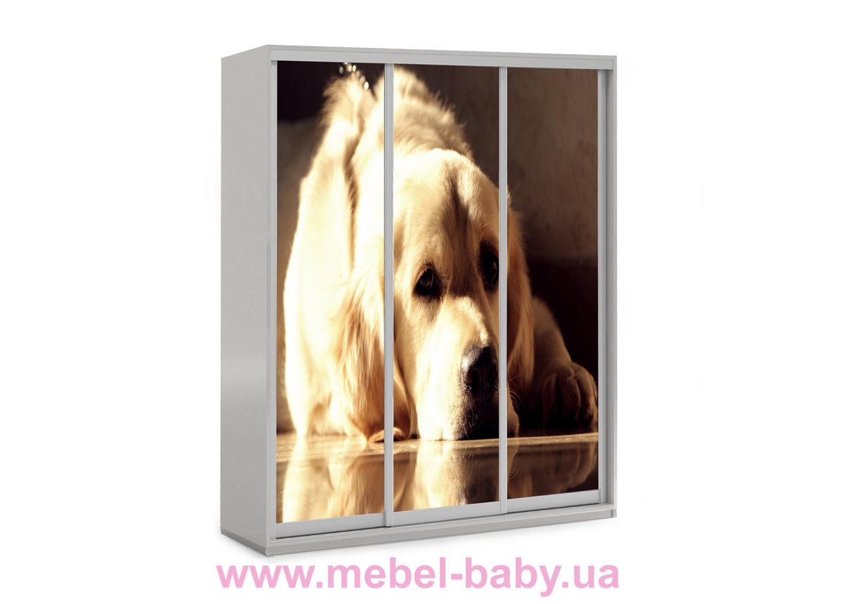 Шкаф-купе Собака лабрадор 40 Viorina-Deko 1600 серый