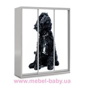 Шкаф-купе Черная собака 41 Viorina-Deko 1600 серый