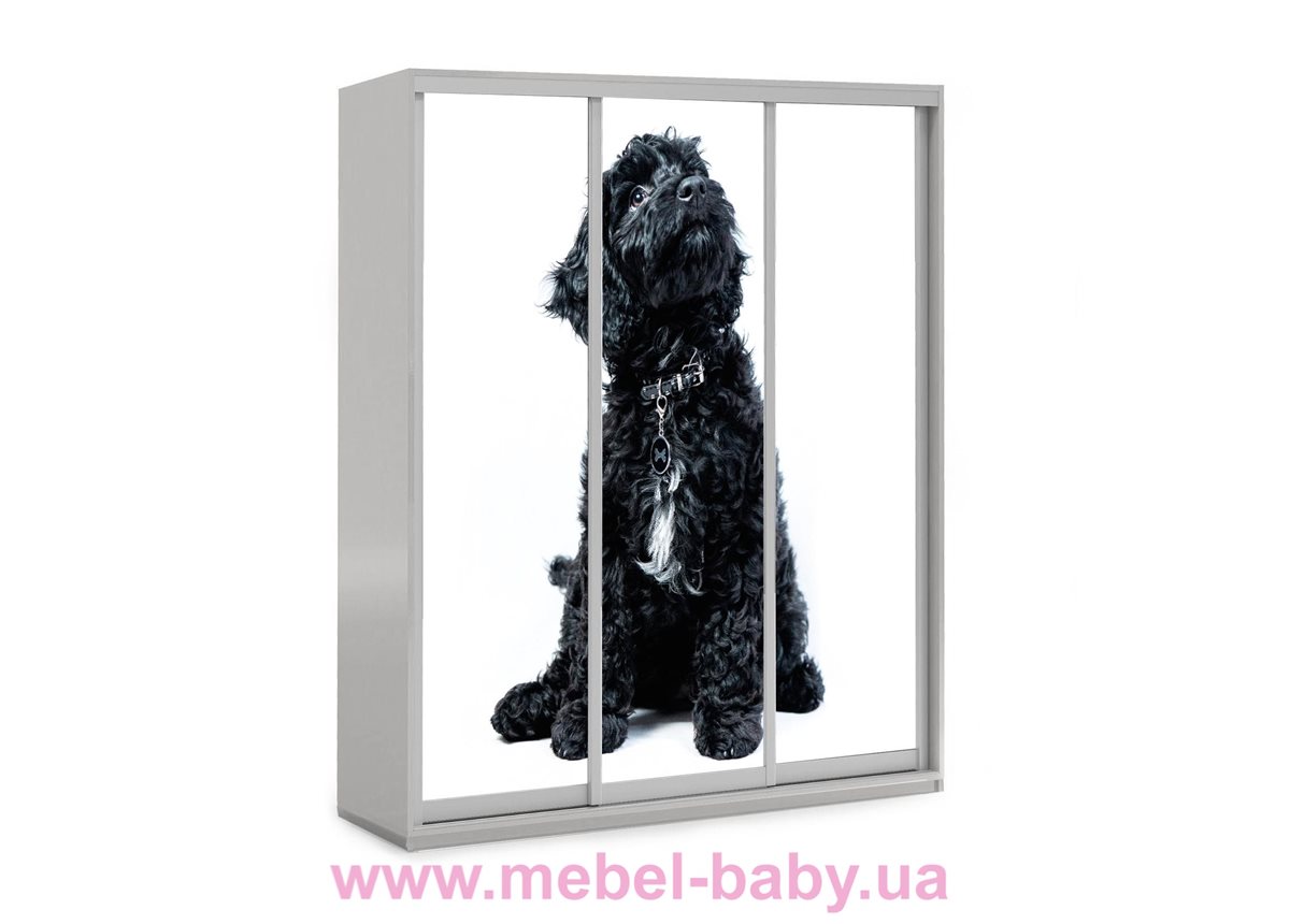 Шкаф-купе Черная собака 41 Viorina-Deko 1600 серый