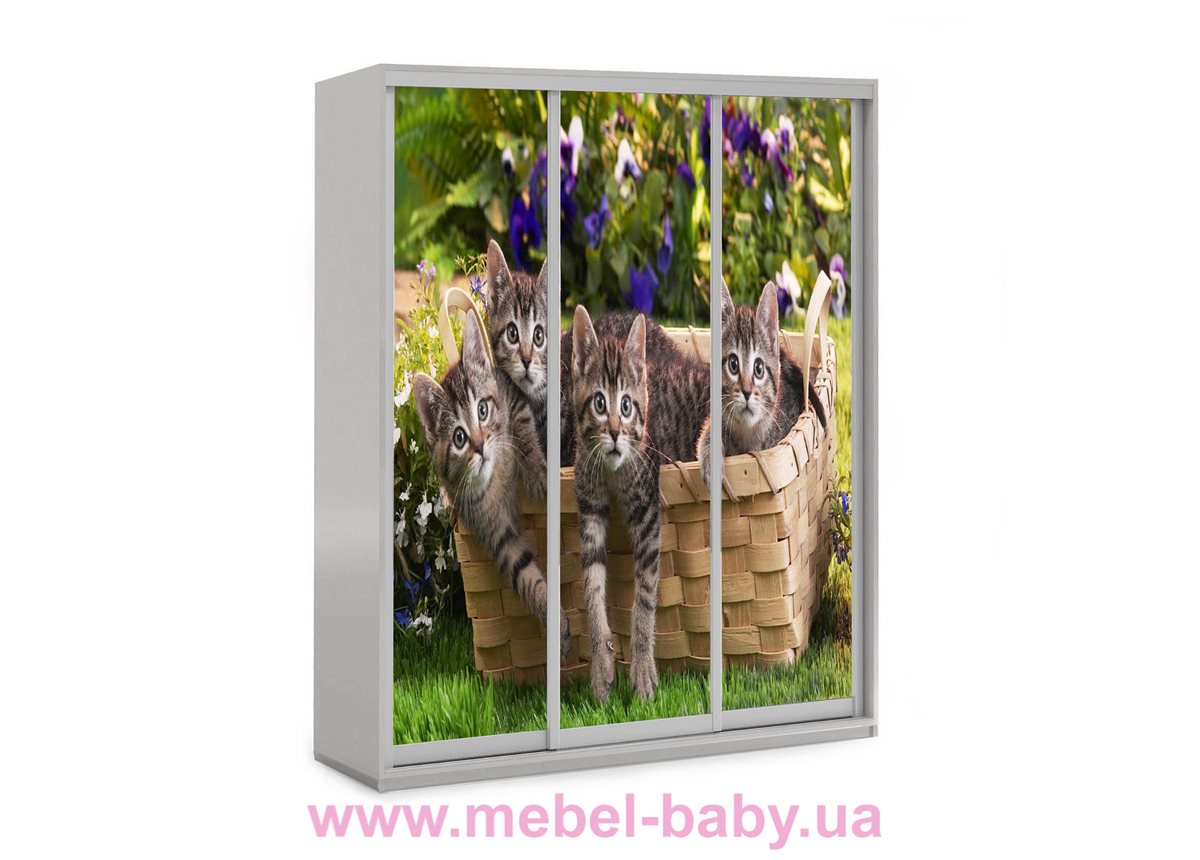 Шкаф-купе Котята 51 Viorina-Deko 1600 серый