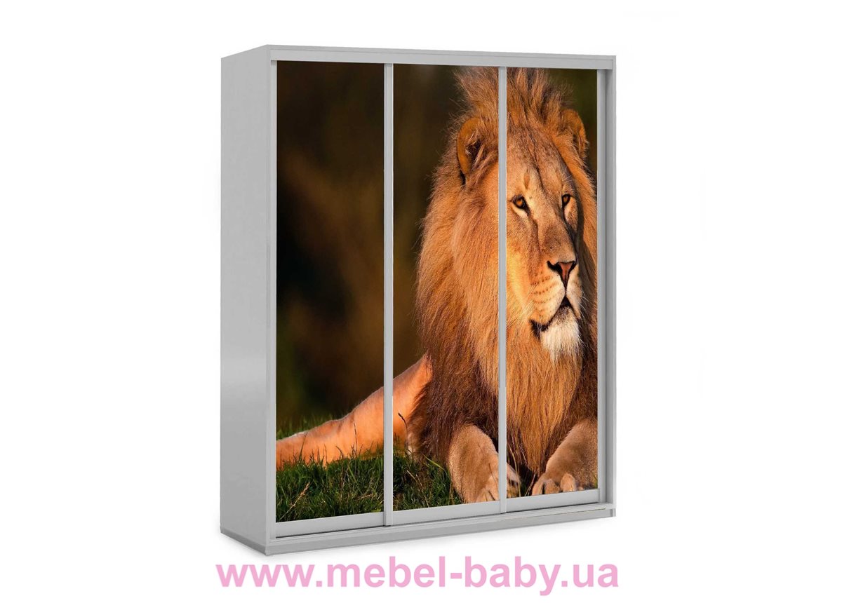 Шкаф-купе Лев 53 Viorina-Deko 1600 серый