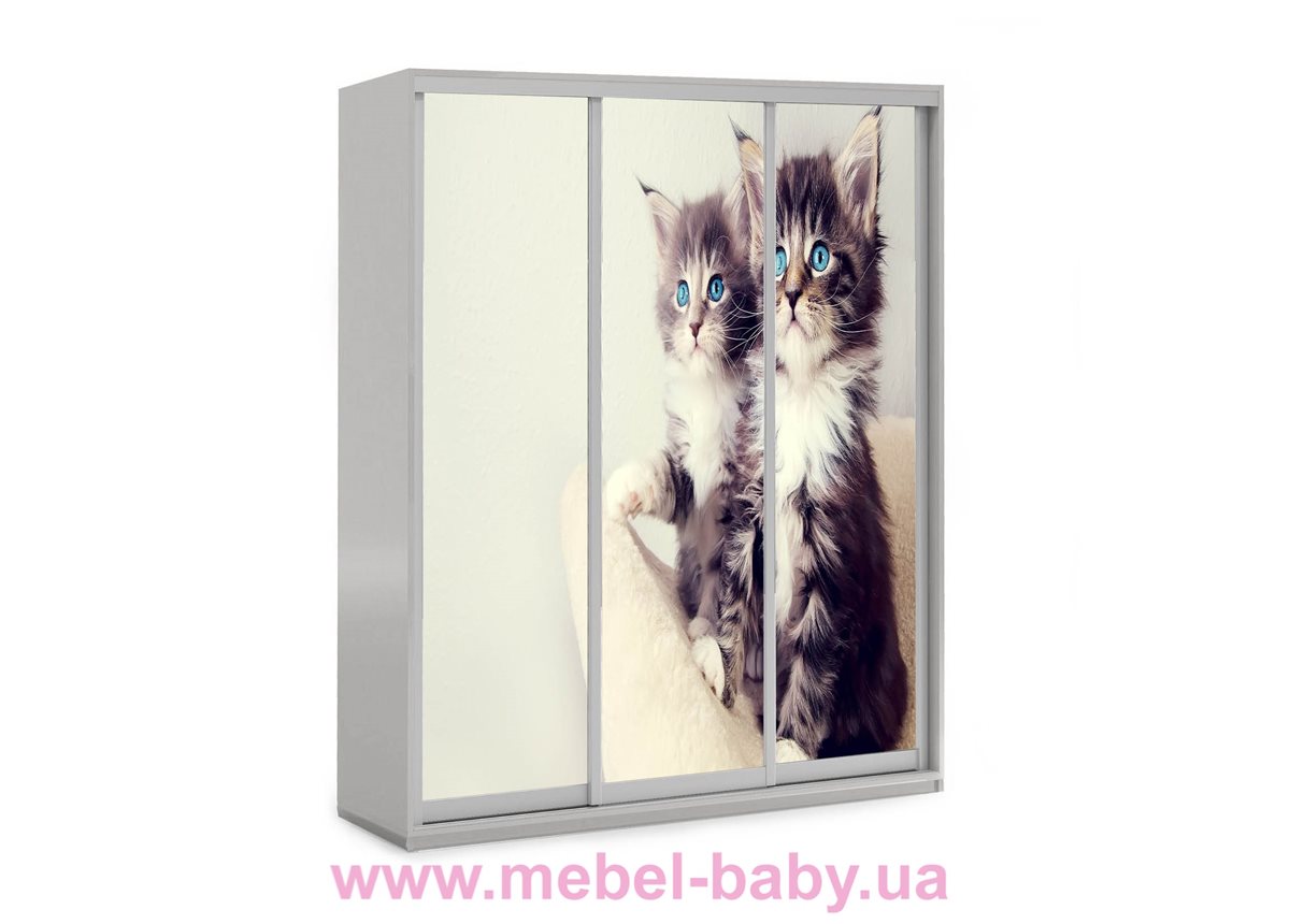 Шкаф-купе Котята 59 Viorina-Deko 1600 серый
