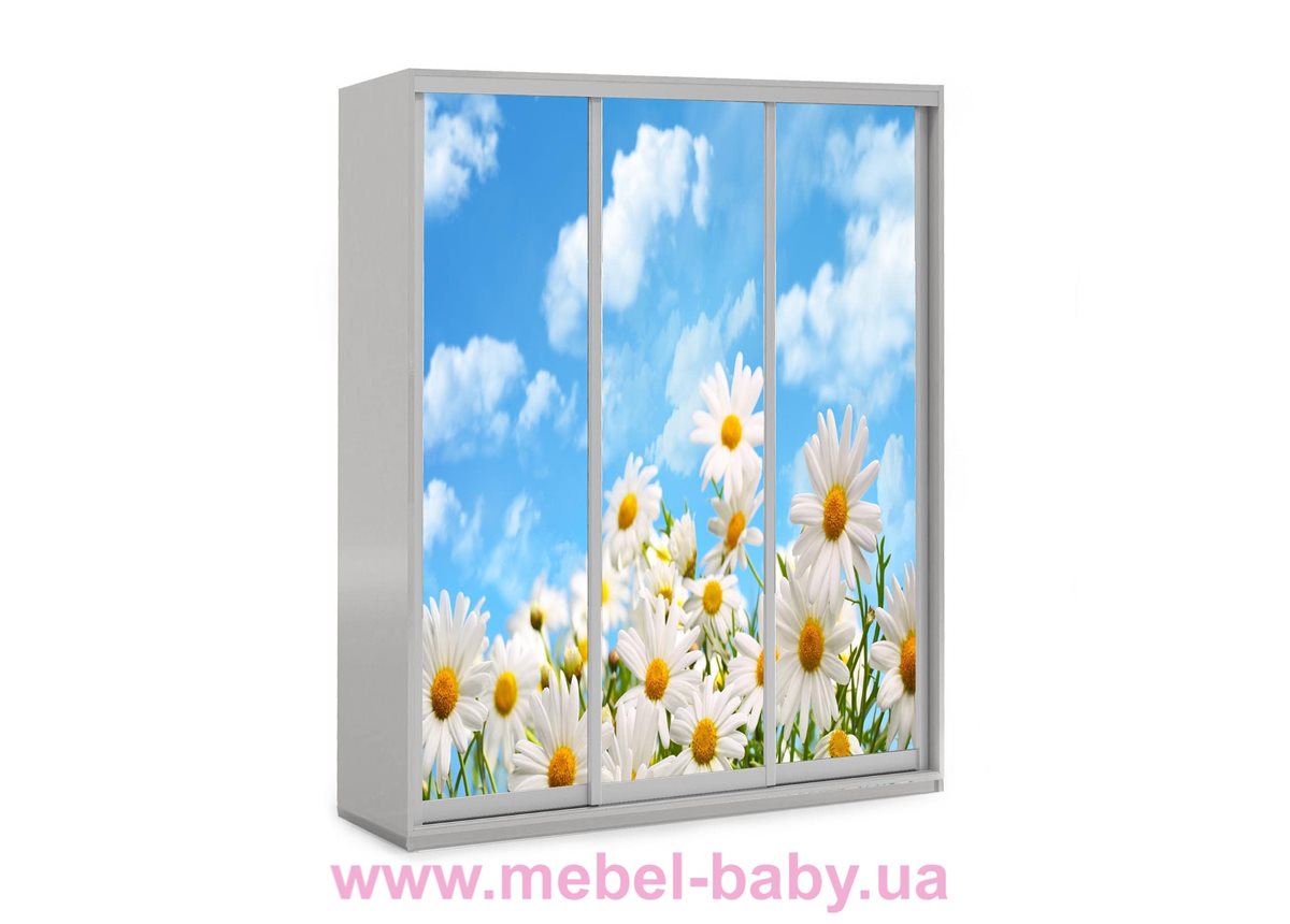 Шкаф-купе Цветы 71 Viorina-Deko 1600 серый