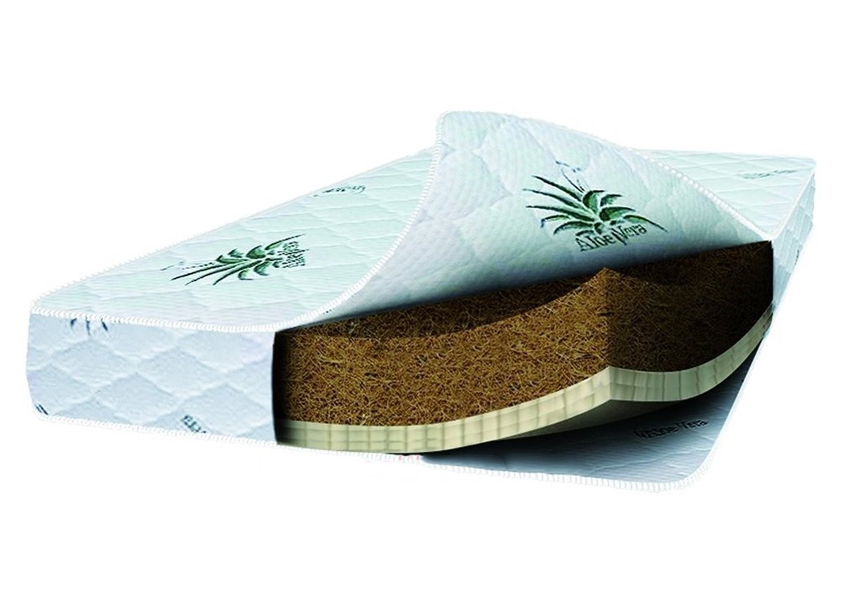 Latex + 10 cм Aloe vera Верес