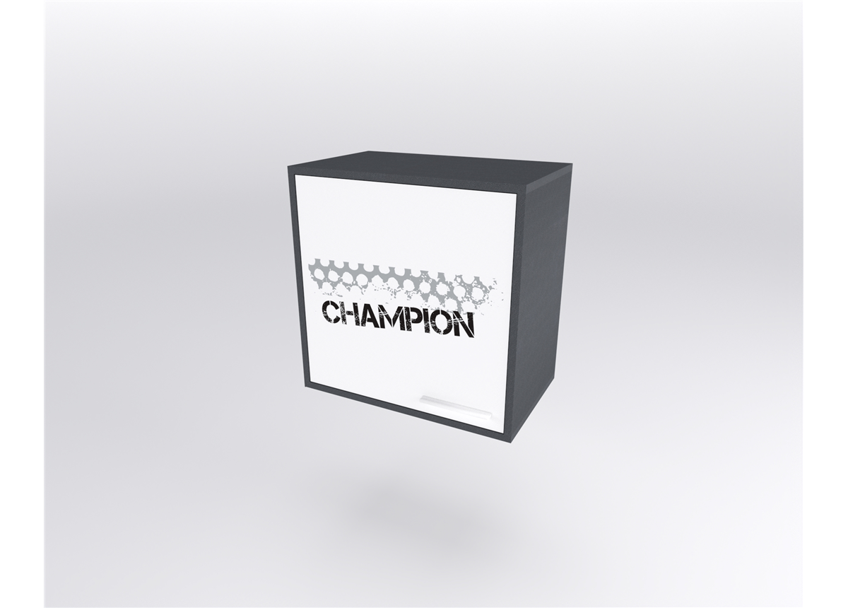 21 Полка центральная серия Xracer К-2 стандарт