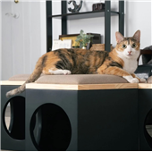 Дизайнерский табурет - домик для кота, собаки